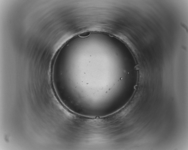 X0000102240902200807251257