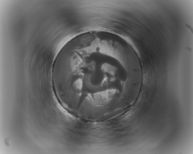 X0000102240903200807251257