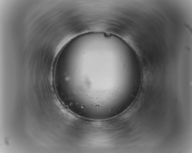 X0000102240904200807251257