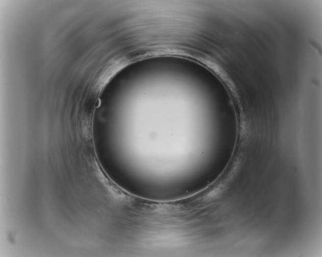 X0000102240905200807251257