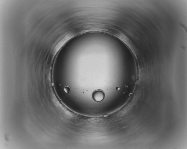 X0000102240906200807251257