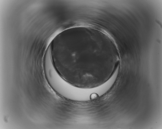 X0000102240907200807251257