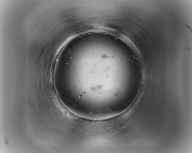 X0000102240908200807251257