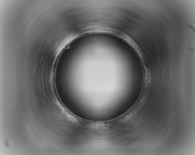 X0000102240909200807251257