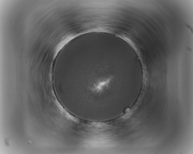 X0000102240910200807251257