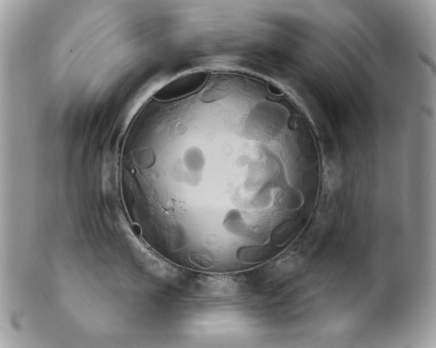 X0000102240911200807251257