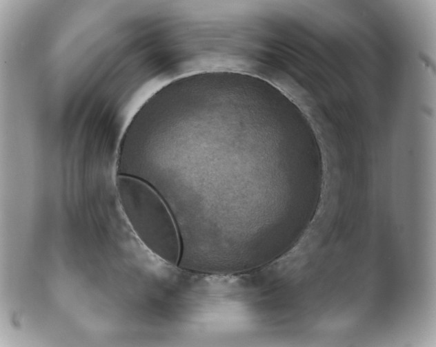 X0000102240912200807251257