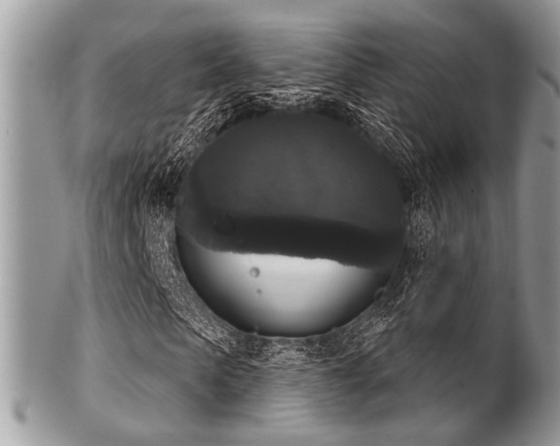 X0000102240913200807251256