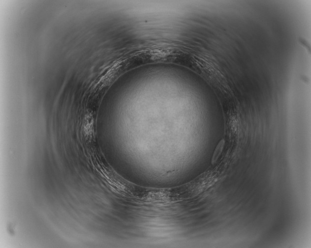 X0000102240914200807251256