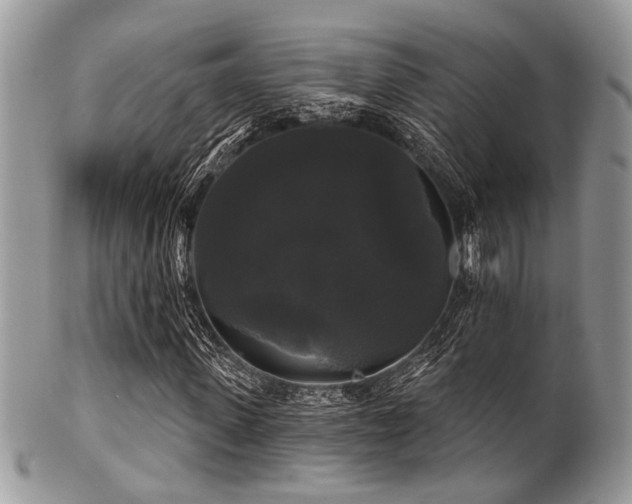 X0000102240915200807251256