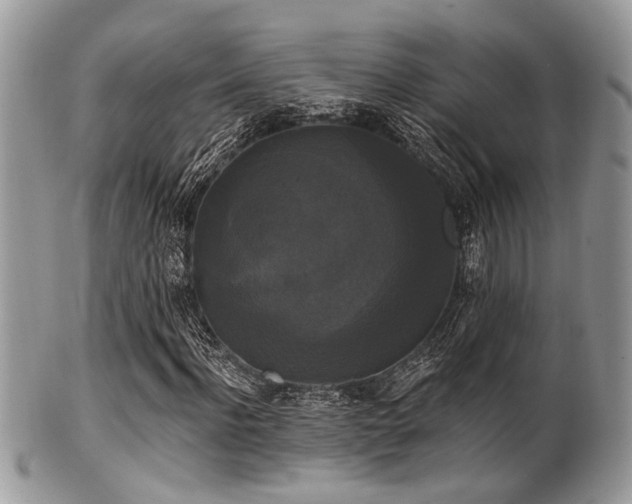 X0000102240916200807251256