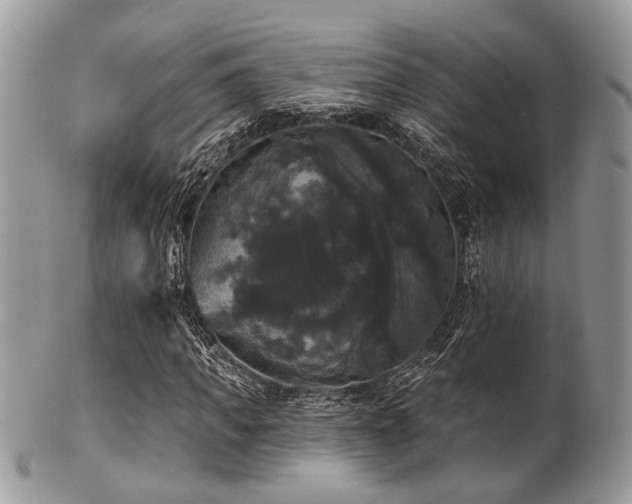 X0000102240917200807251256