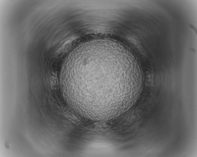 X0000102240918200807251256