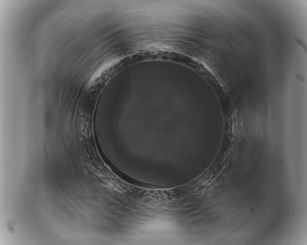 X0000102240919200807251256