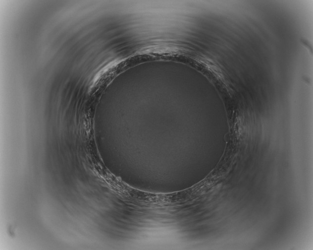 X0000102240920200807251256