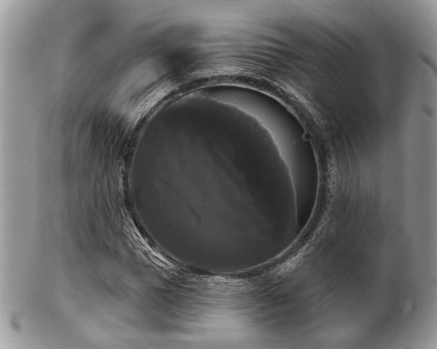 X0000102240921200807251256