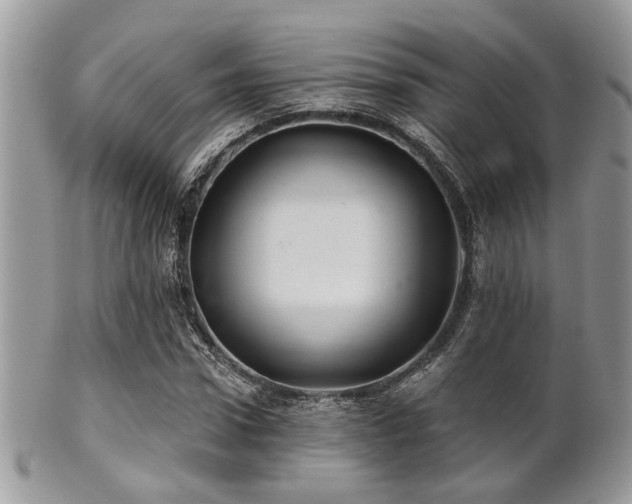 X0000102240922200807251256