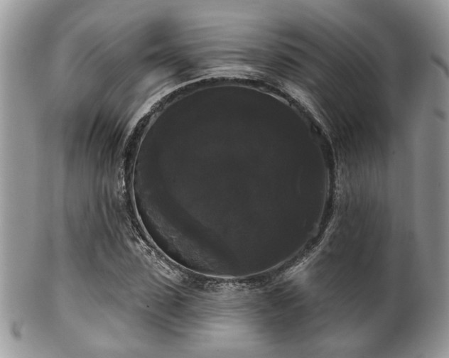 X0000102240923200807251256