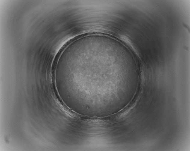 X0000102240924200807251256