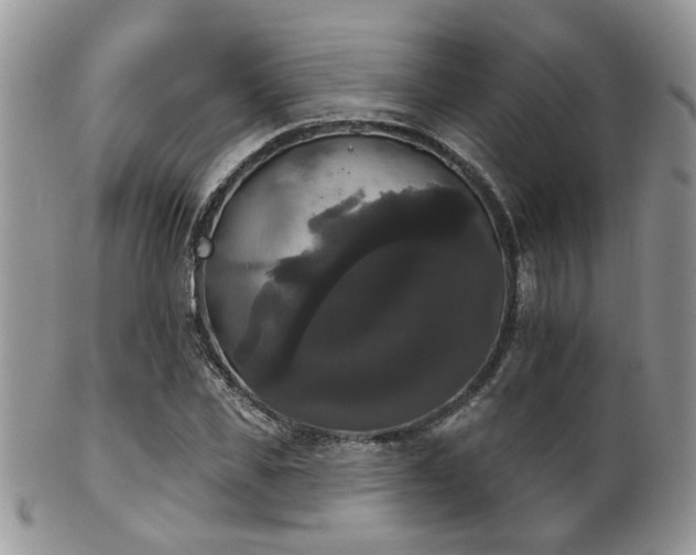 X0000102240925200807251256