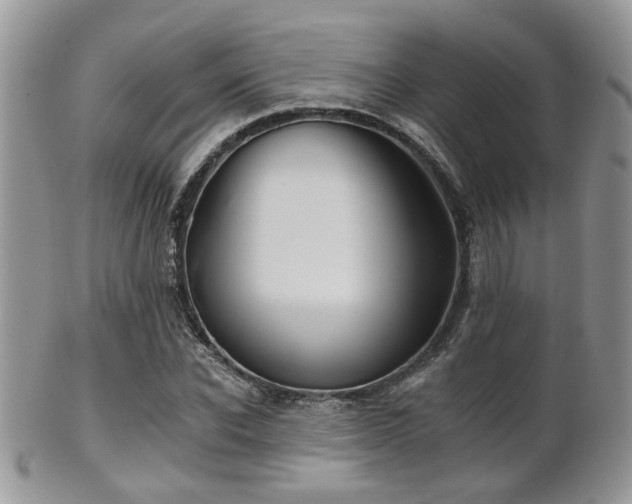 X0000102240926200807251256