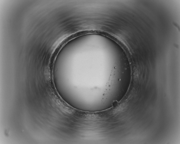 X0000102240927200807251256