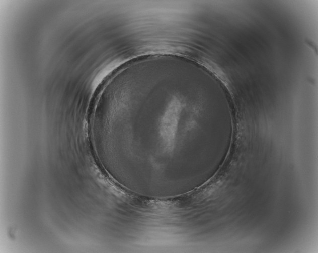 X0000102240928200807251256