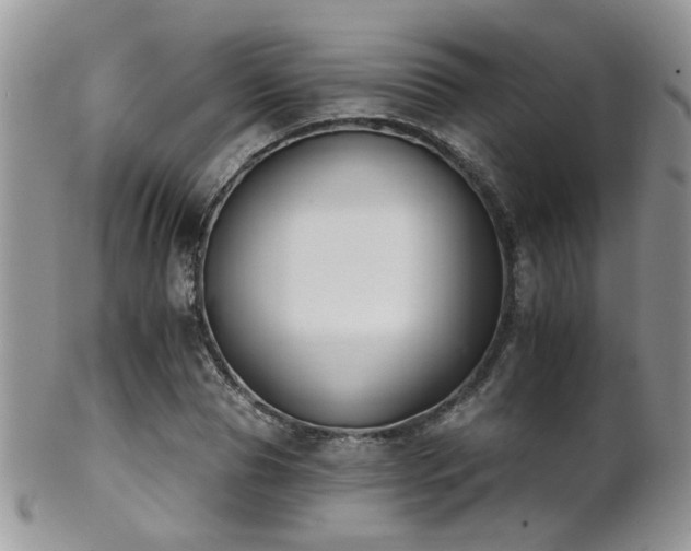 X0000102240929200807251256