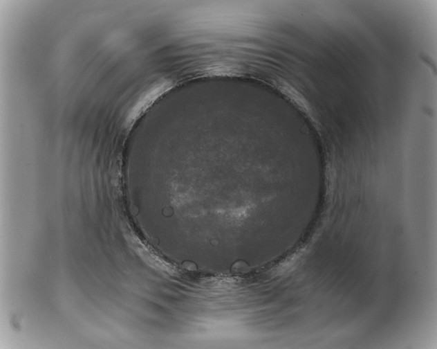 X0000102240930200807251256