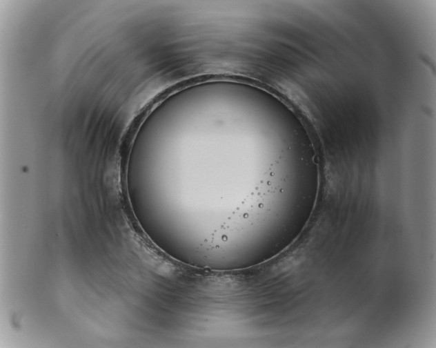 X0000102240931200807251256