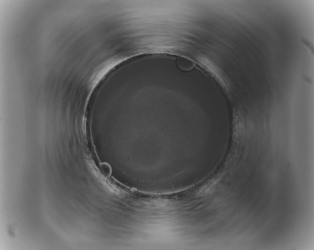 X0000102240932200807251256