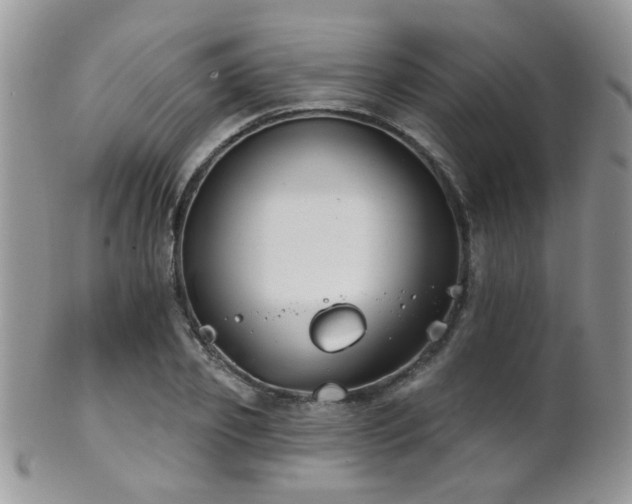 X0000102240933200807251256