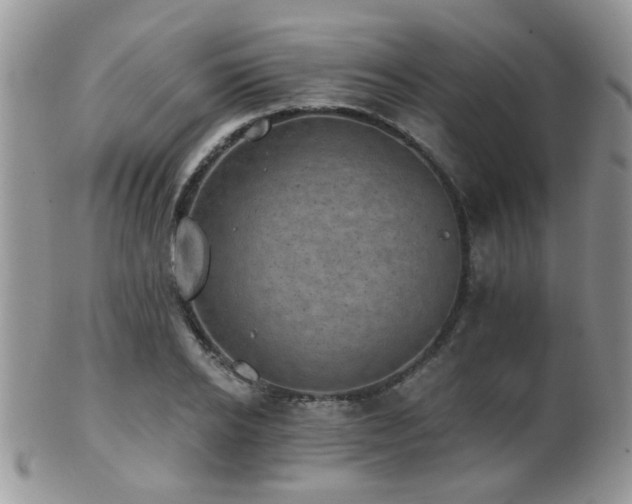 X0000102240934200807251256