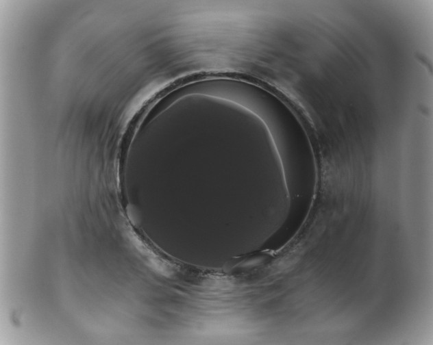 X0000102240935200807251256