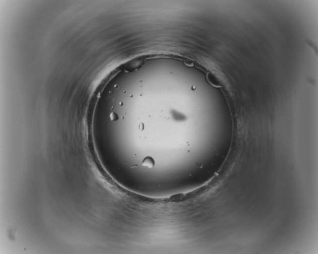 X0000102240936200807251256