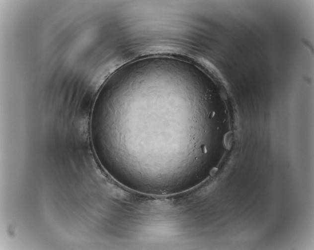 X0000102240937200807251256