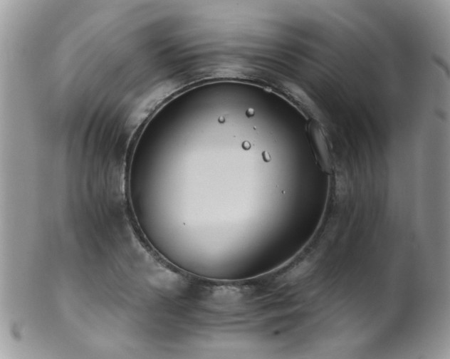 X0000102240938200807251256