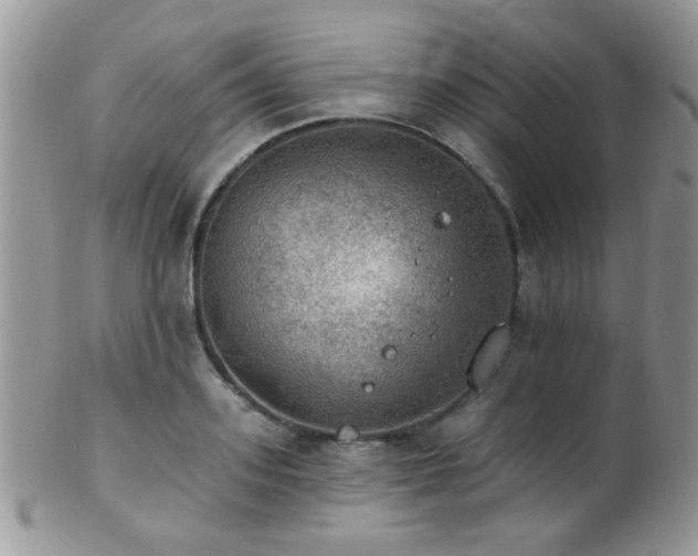 X0000102240939200807251256