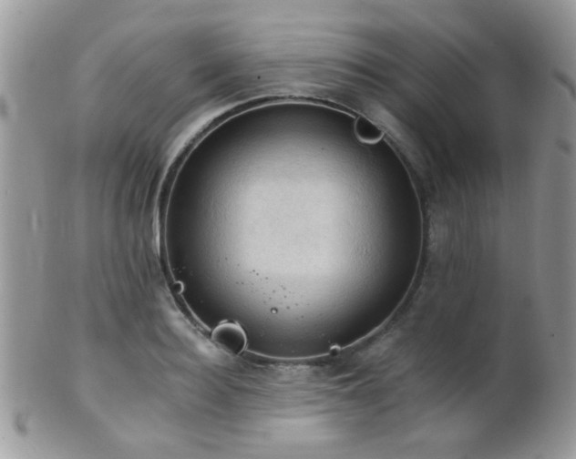 X0000102240940200807251256