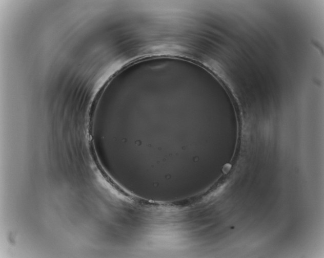 X0000102240941200807251256