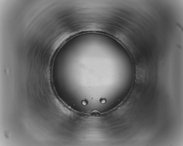 X0000102240942200807251256