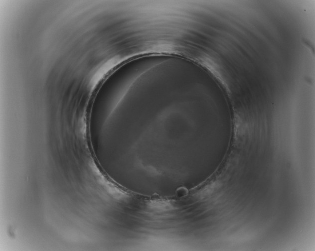 X0000102240944200807251256