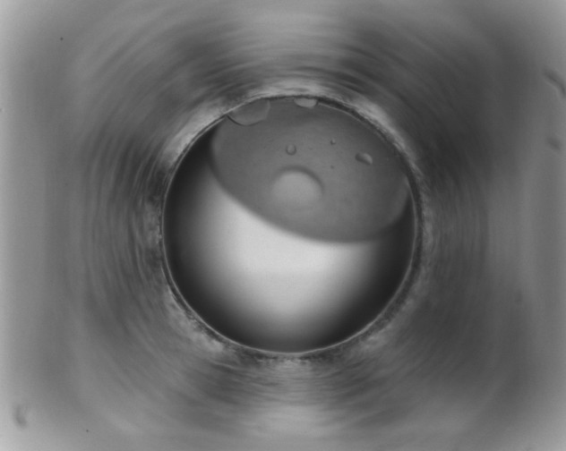 X0000102240945200807251256