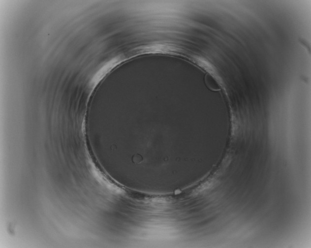 X0000102240946200807251256