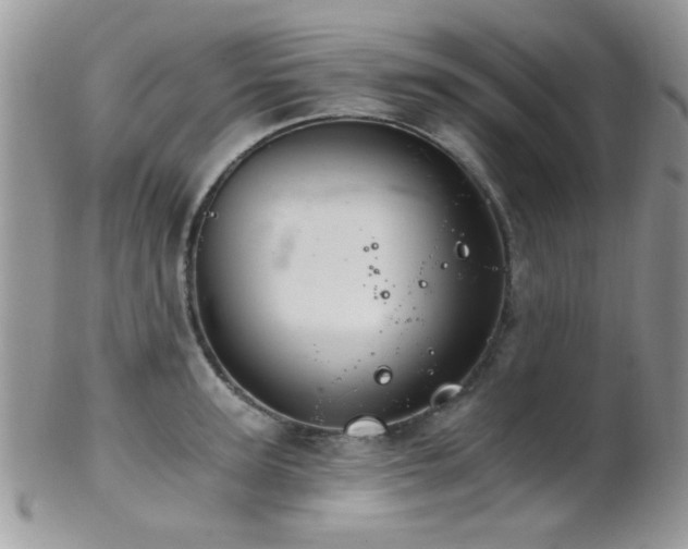 X0000102240947200807251256