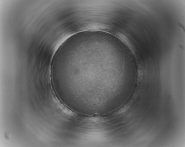 X0000102240948200807251256