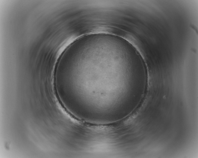 X0000102240949200807251256