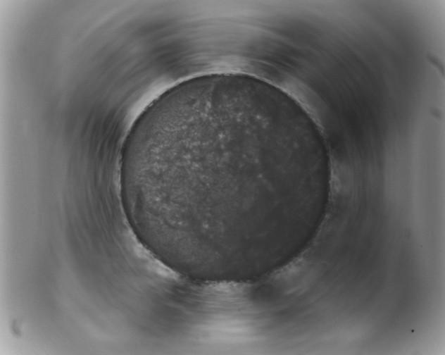 X0000102240950200807251256