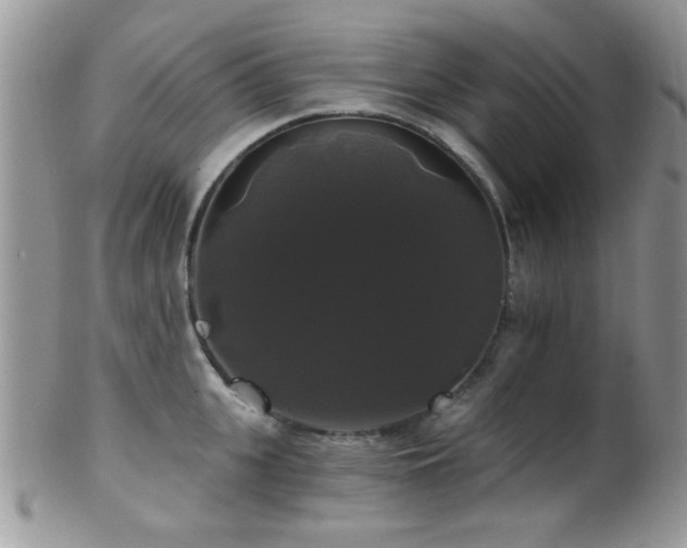 X0000102240951200807251256