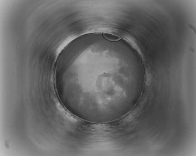 X0000102240952200807251256